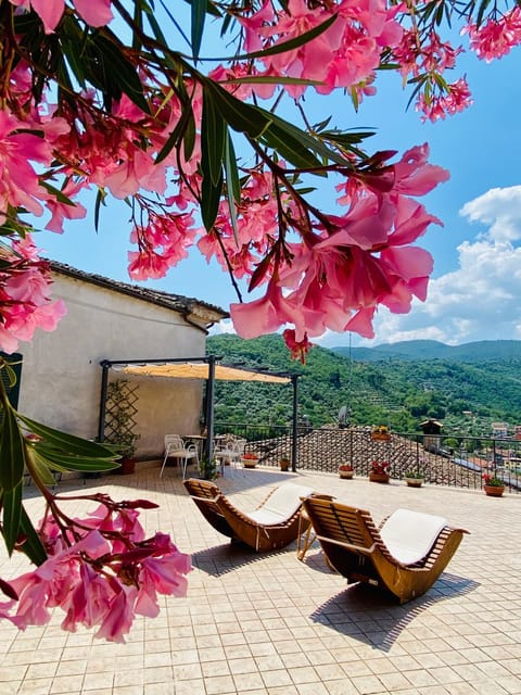 Day, Natural landscape, View (from property/room), Balcony/Terrace, Mountain view, sunbed