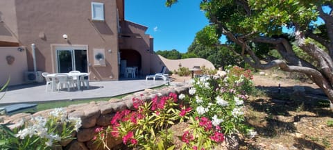 Patio, Garden, Garden, Dining area, Garden view