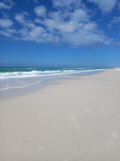 Double Take! Renovated Vacation Home House in Long Beach