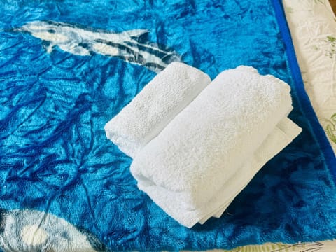 Landscape Haven Room Vacation rental in Dublin