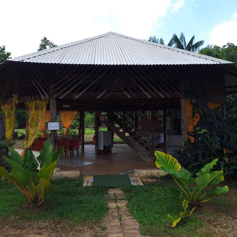 Patio, Day, Garden, Garden view