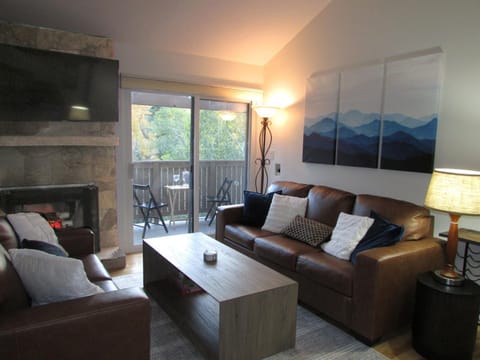 TV and multimedia, Balcony/Terrace, Living room, fireplace