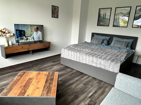 Bed, TV and multimedia, Living room, Photo of the whole room, Bedroom