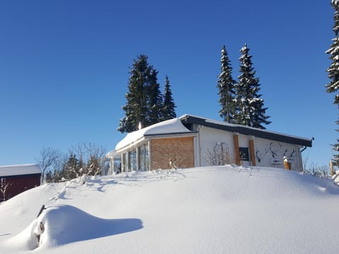 Property building, Winter