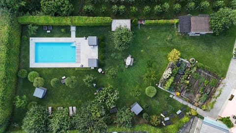 Garden, Swimming pool, sunbed