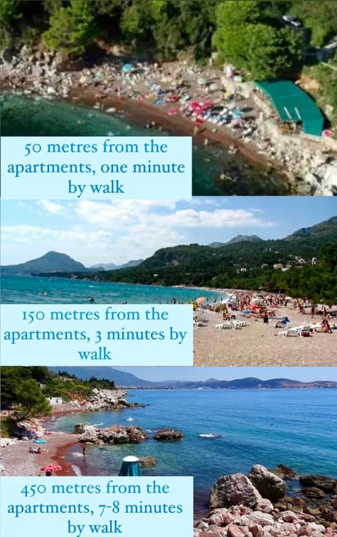 Dilan apartments by the sea Apartment in Montenegro