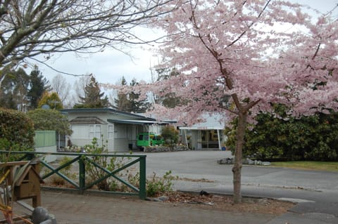 Facade/entrance, Decorative detail, Street view