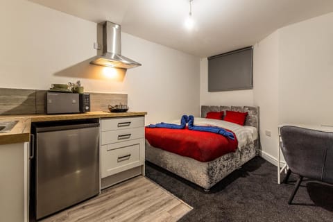 Bed, Kitchen or kitchenette, Photo of the whole room, Bedroom, oven, stove