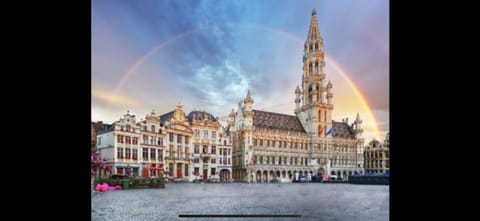 Room in Guest room - Charming Guest Room in Historic Brussels Mansion Bed and Breakfast in Brussels