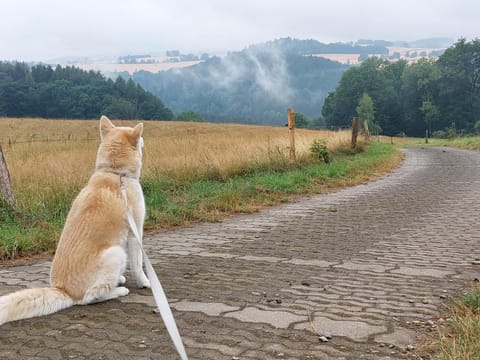 Natural landscape