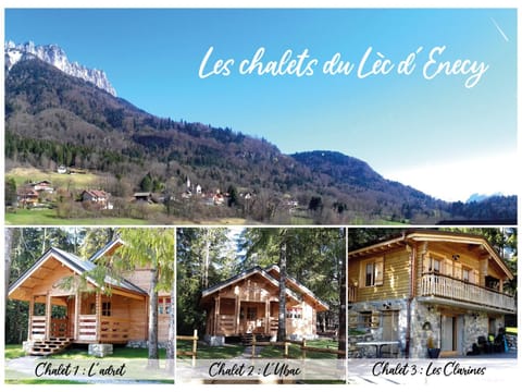 Chalet l'UBAC Chalet in Menthon-Saint-Bernard