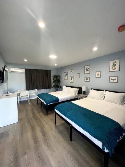 Las Olas Studio W Parking 10 min to FLL and beach Apartment in Hollywood