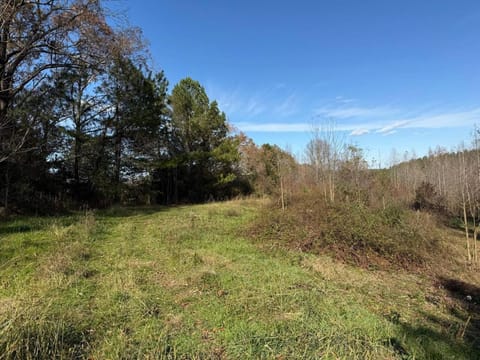 Waterfalls Canyon 41.5 Acres W Miles of Trails Farm Stay in Lake Hartwell