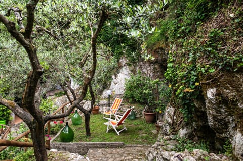 Natural landscape, Garden, Garden view