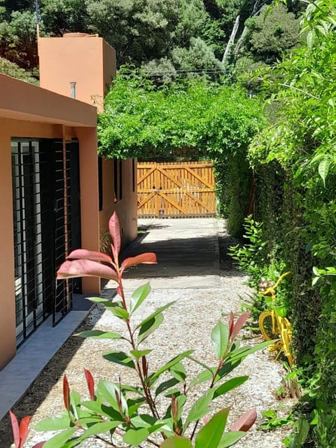 Day, Garden, Garden view