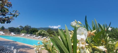 Mountain view, Swimming pool