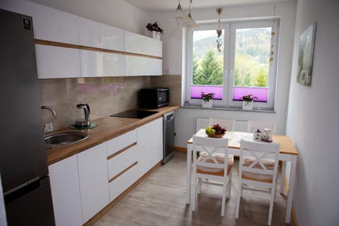 Kitchen or kitchenette, Dining area, stove, toaster