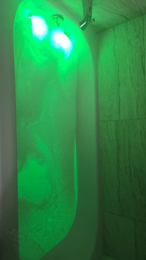 Tranquil studio oasis Apartment in Minneapolis