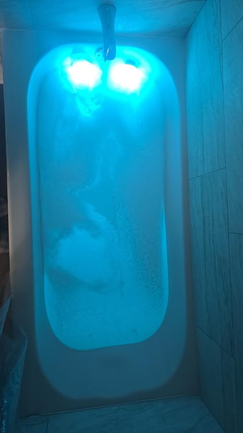 Tranquil studio oasis Apartment in Minneapolis