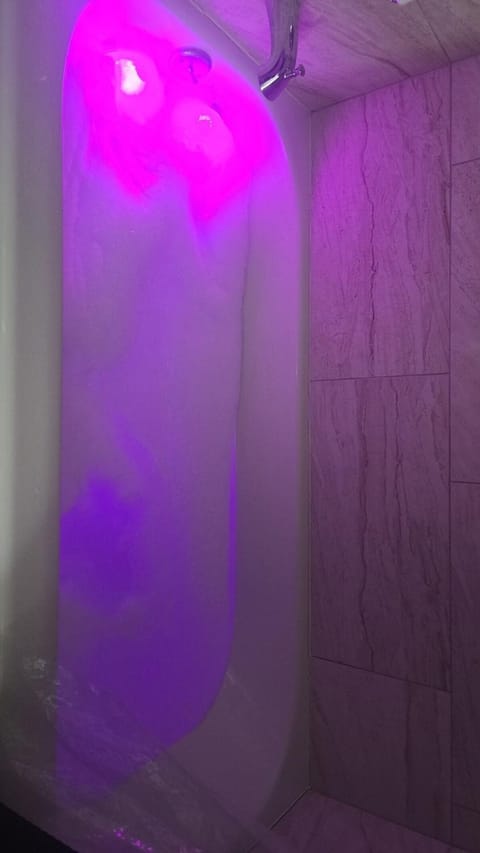 Tranquil studio oasis Apartment in Minneapolis