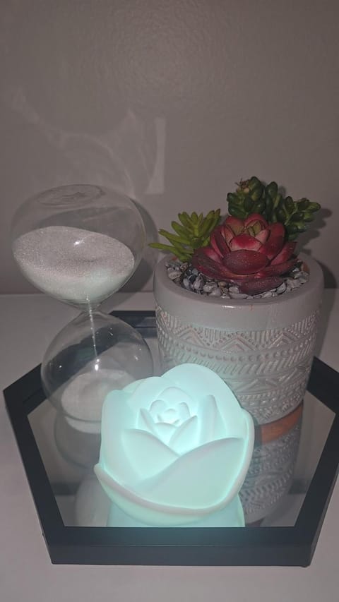 Tranquil studio oasis Apartment in Minneapolis