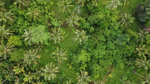 Meera house and stay Vacation rental in Pekutatan