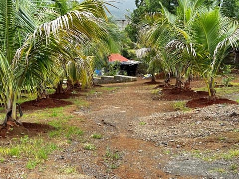 Garden, Garden view