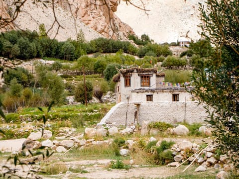 Property view