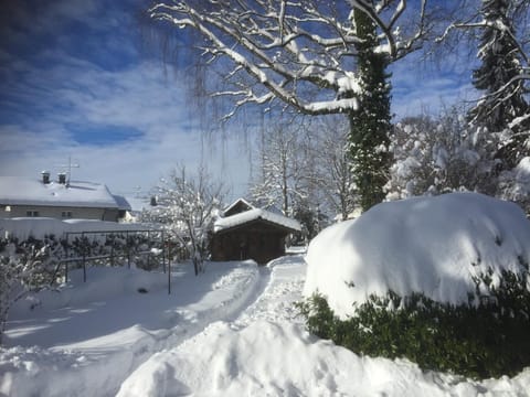 Winter, Garden