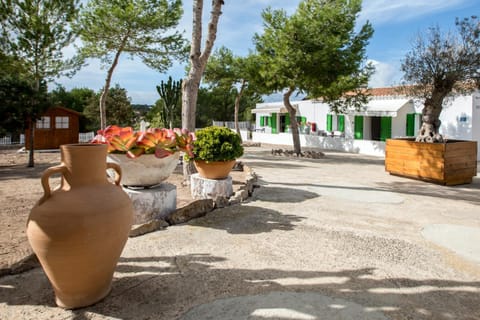 Garden, Balcony/Terrace