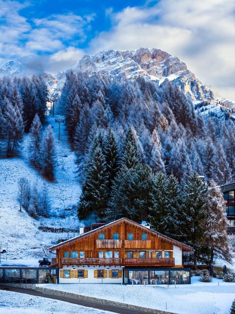 Property building, Patio, Nearby landmark, Day, Natural landscape, Winter, Garden, Sauna, Skiing, View (from property/room), Other, Food, Guests, Mountain view, Meals, Lunch, Dinner