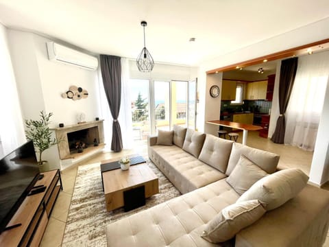 TV and multimedia, Living room, Seating area, Evening entertainment, fireplace, internet, air conditioner