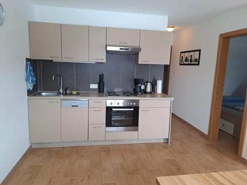 Kitchen or kitchenette, dishwasher, stove