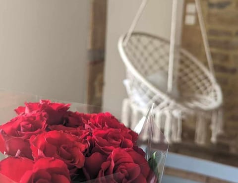 Gîte Bohème Bed and Breakfast in Wallonia, Belgium