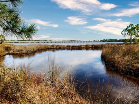 Coastal Haven C House in Lower Grand Lagoon