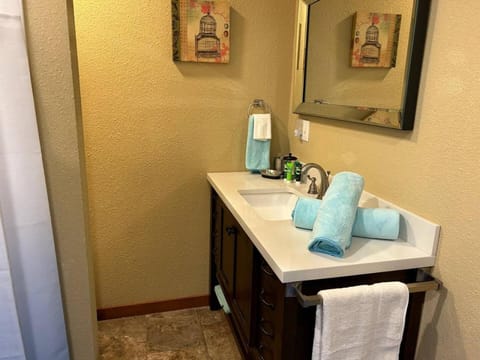 Queen BR home, walk to Marina, food truck, trails House in Carroll County