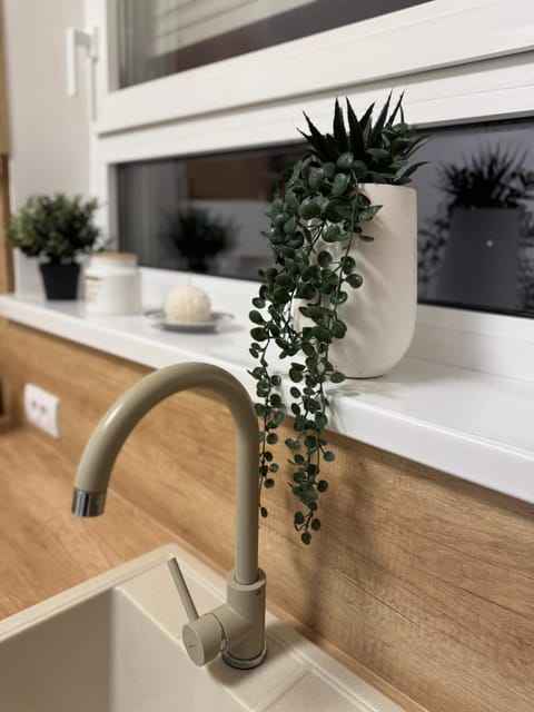 Jokica apartmani Apartment in Serbia