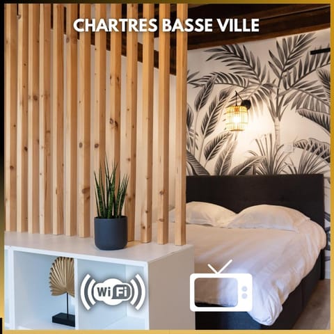 Chartres - Le Pont Bouju - Vue sur L'Eure Apartment in Chartres