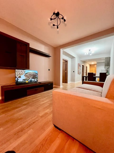 Communal lounge/ TV room, Living room, Seating area
