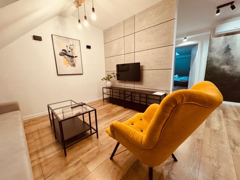 TV and multimedia, Living room, Seating area, Evening entertainment
