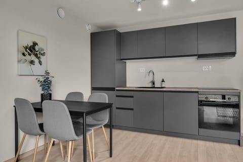 Kitchen or kitchenette, Dining area, dishwasher, stove