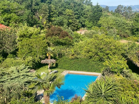 Bird's eye view, Garden, Swimming pool