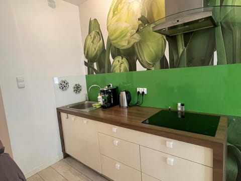 Kitchen or kitchenette, stove