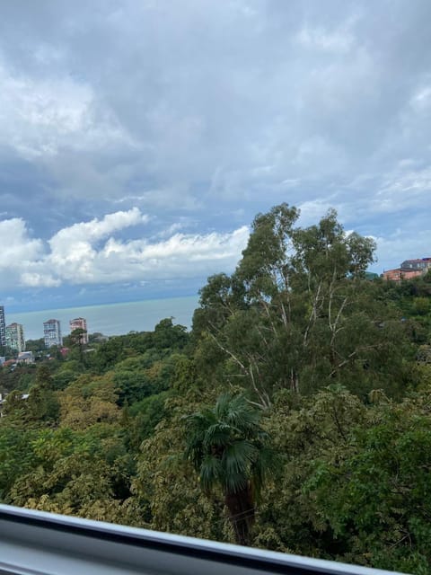 Day, Natural landscape, Garden, Sea view