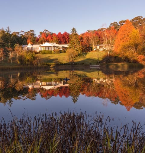 Natural landscape, Autumn, Lake view, Lake view