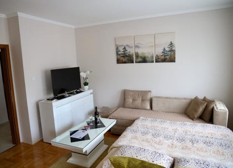 Bed, TV and multimedia, Living room, Seating area, Bedroom
