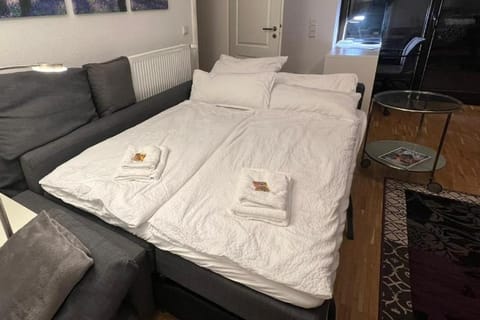 Terassen Whg 68 qm bis 6 pers Apartment in Wiesbaden