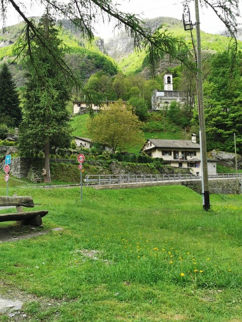 Cuore Verde Apartment Apartment in Canton of Ticino