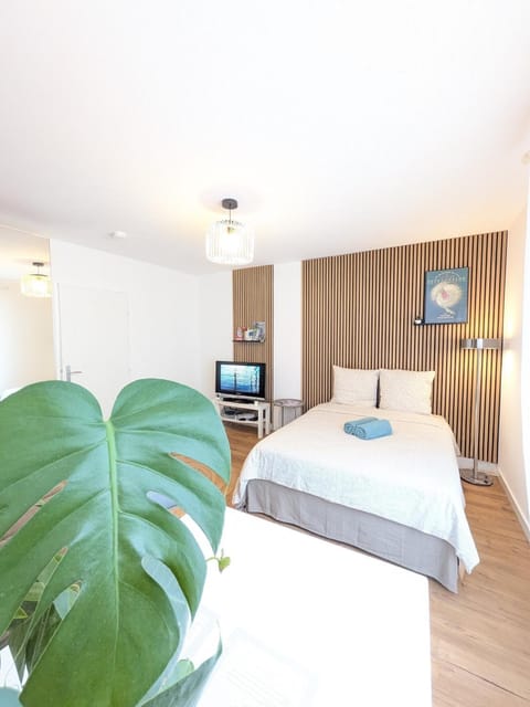 Bed, TV and multimedia, Photo of the whole room, Bedroom, towels