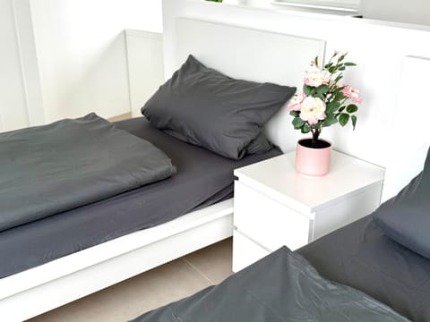 Apartment WH8 Apartment in Cologne